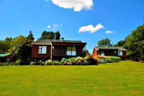 Forest View Cabins